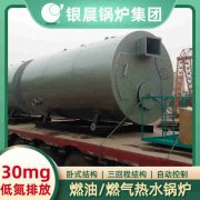 12吨燃气蒸汽锅炉YABO.COM
