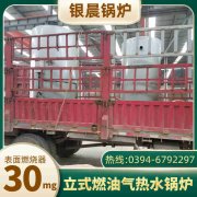 3吨天然气蒸汽锅炉YABO.COM
